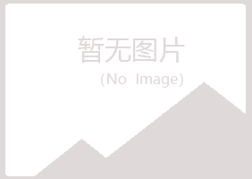 青岛崂山残缺音乐有限公司